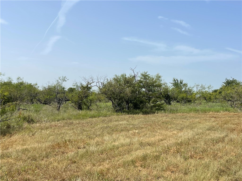 Lot 8 Fm 339, Mount Calm, Texas image 21