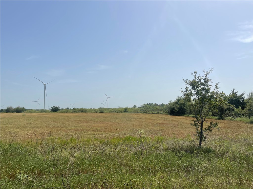 Lot 8 Fm 339, Mount Calm, Texas image 15