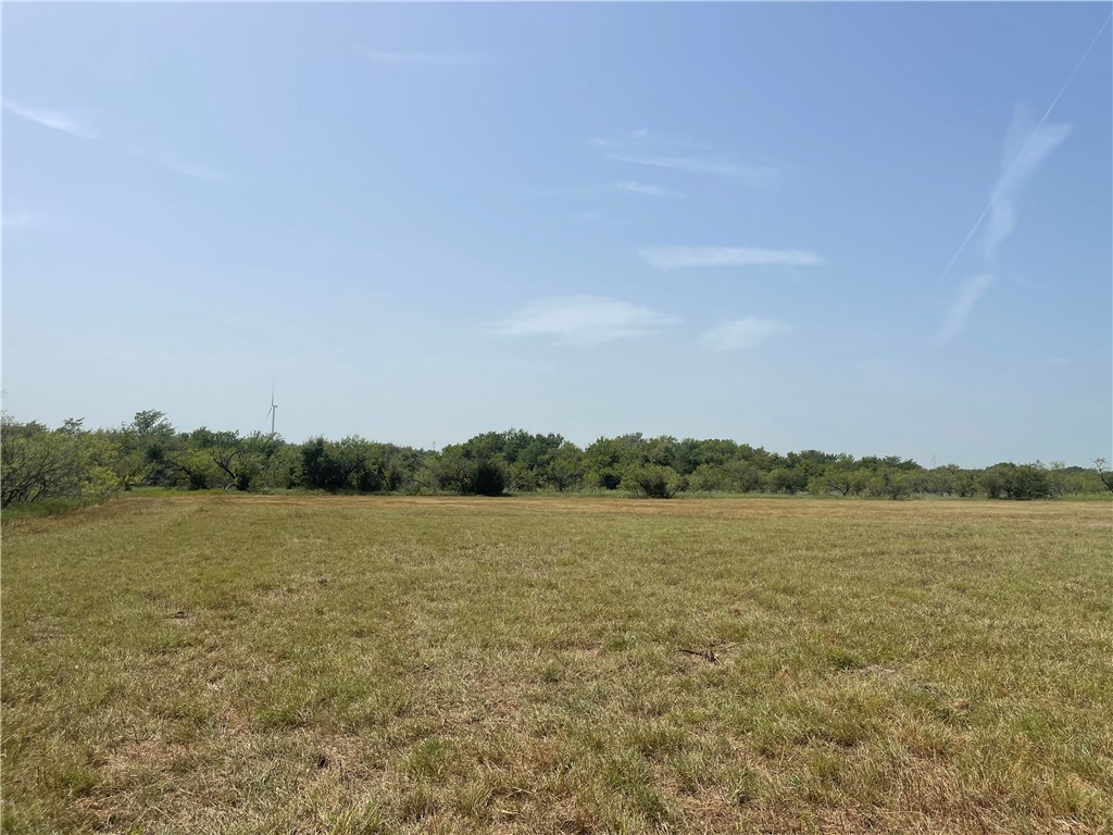 Lot 8 Fm 339, Mount Calm, Texas image 10