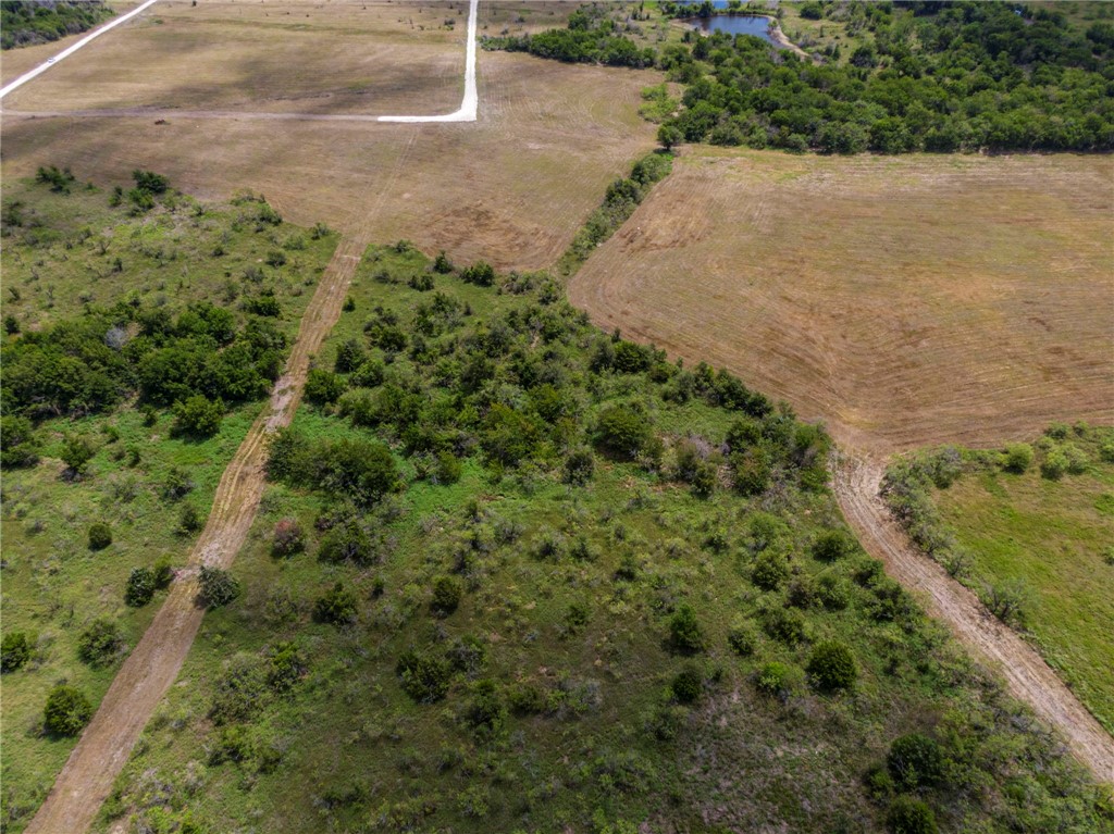 Lot 8 Fm 339, Mount Calm, Texas image 5