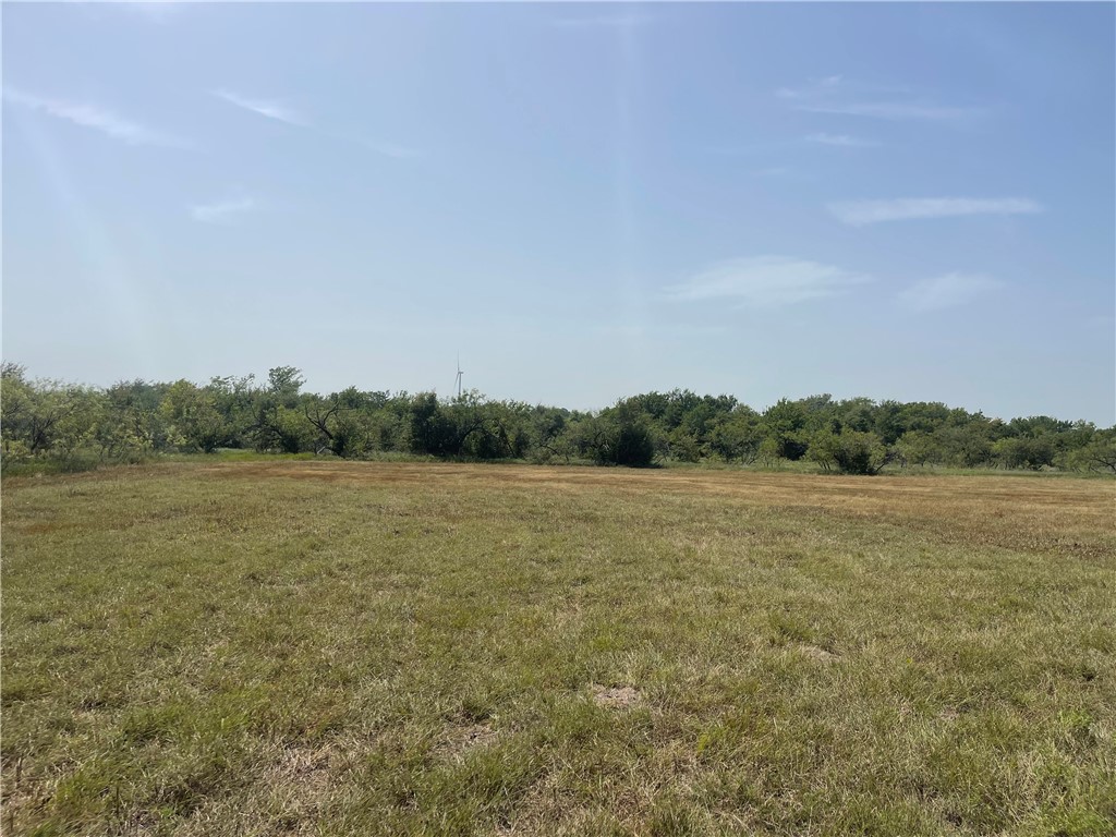 Lot 8 Fm 339, Mount Calm, Texas image 12