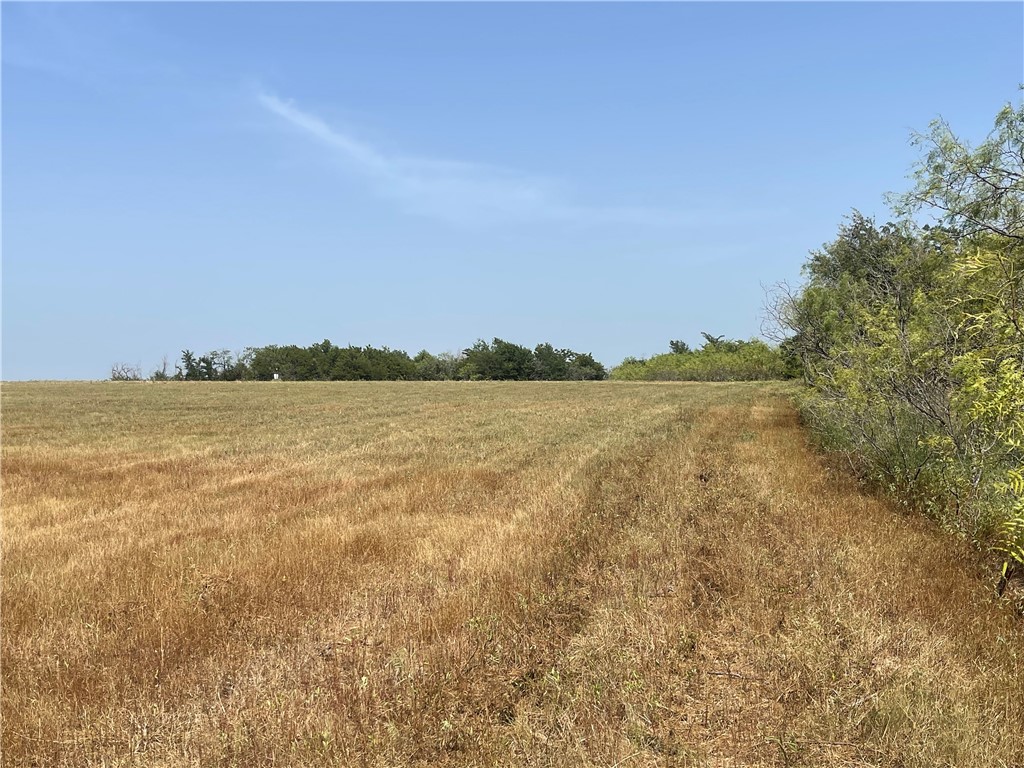 Lot 8 Fm 339, Mount Calm, Texas image 16