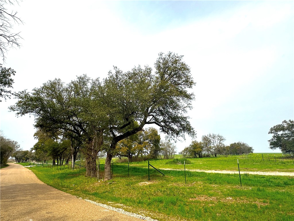 Sunset Ranch Tract 9 Cr 356 Road, Gatesville, Texas image 7