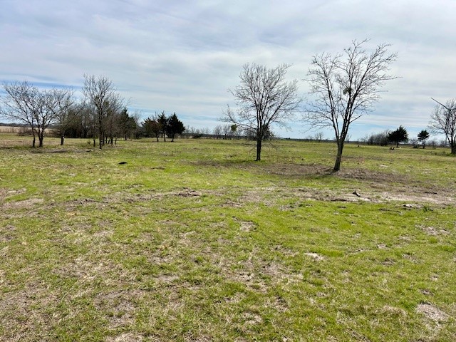 TBD SW Cr 4260, Dawson, Texas image 5