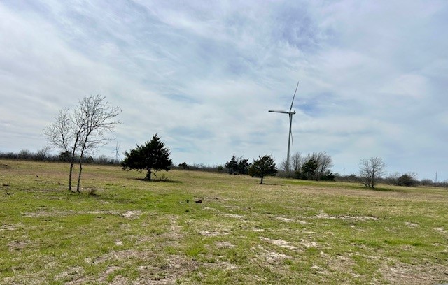 TBD SW Cr 4260, Dawson, Texas image 6
