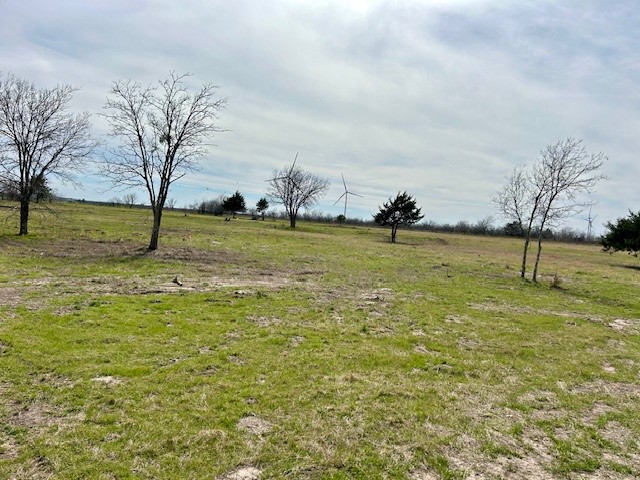 TBD SW Cr 4260, Dawson, Texas image 4