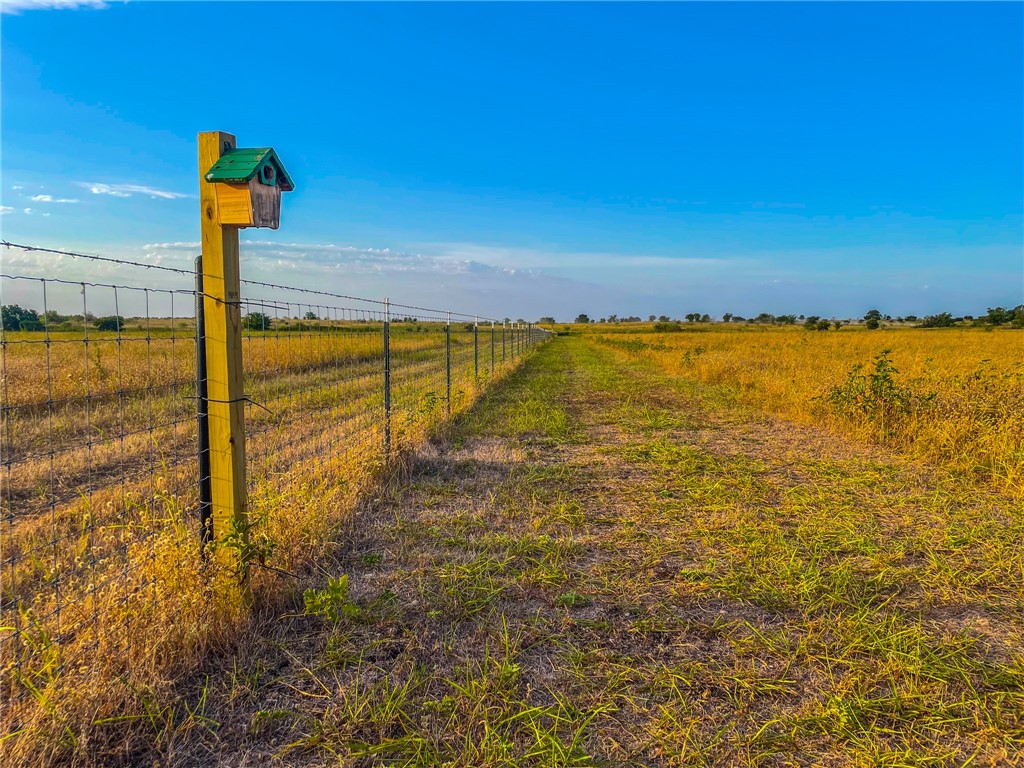 602 Cr 3215 Road, Clifton, Texas image 29