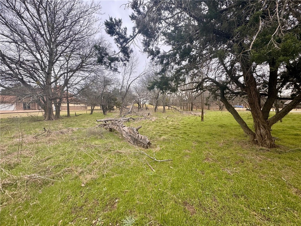 27082 Meadowmore Drive, Whitney, Texas image 10