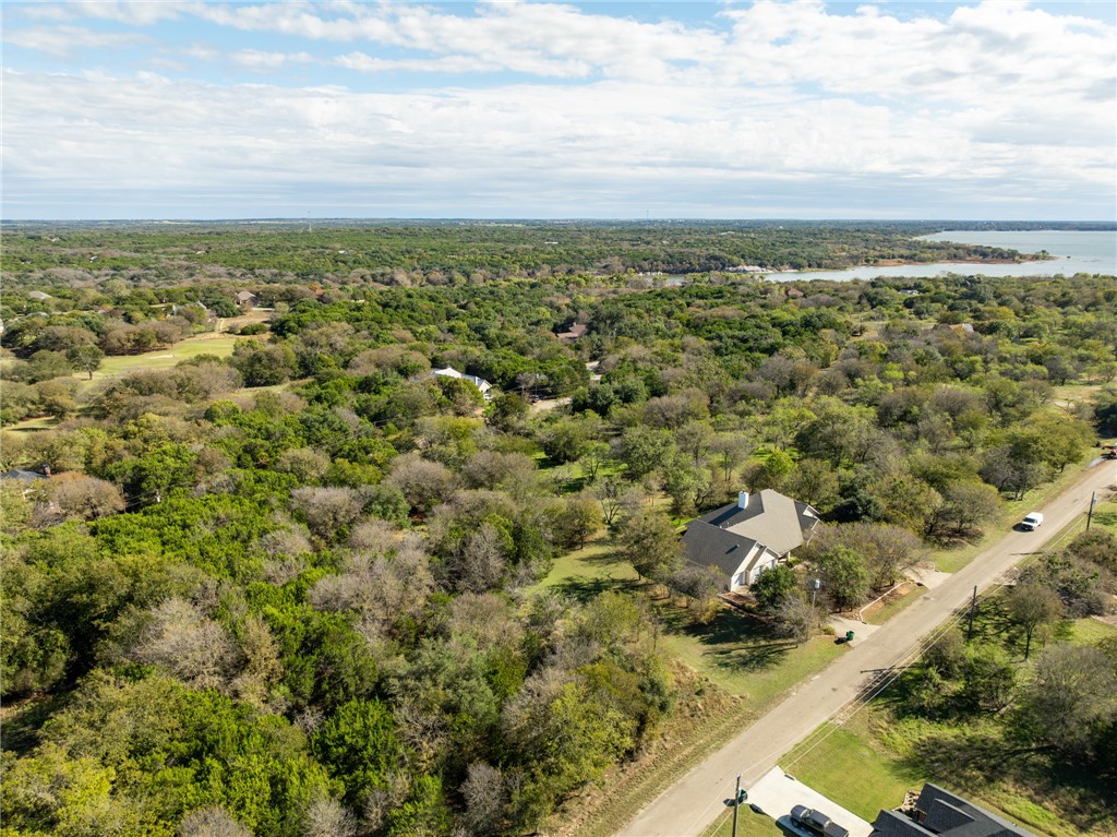 17124 Trailwood Drive, Whitney, Texas image 3