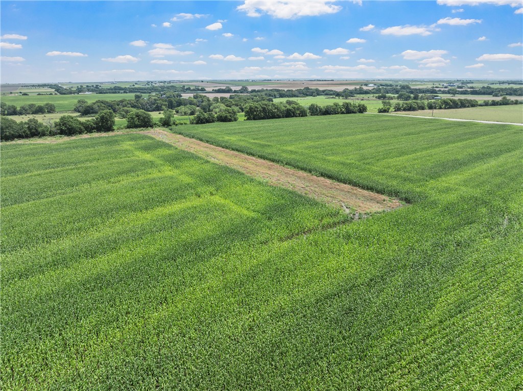 TBD Cottonwood Road, West, Texas image 9