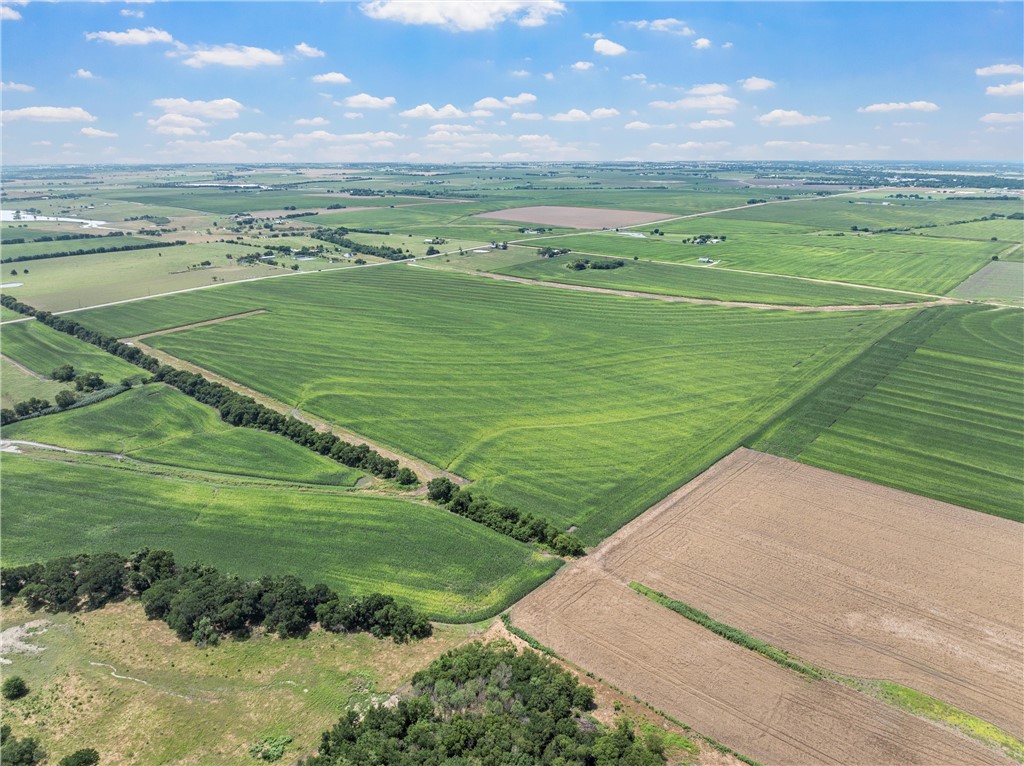 TBD Cottonwood Road, West, Texas image 6