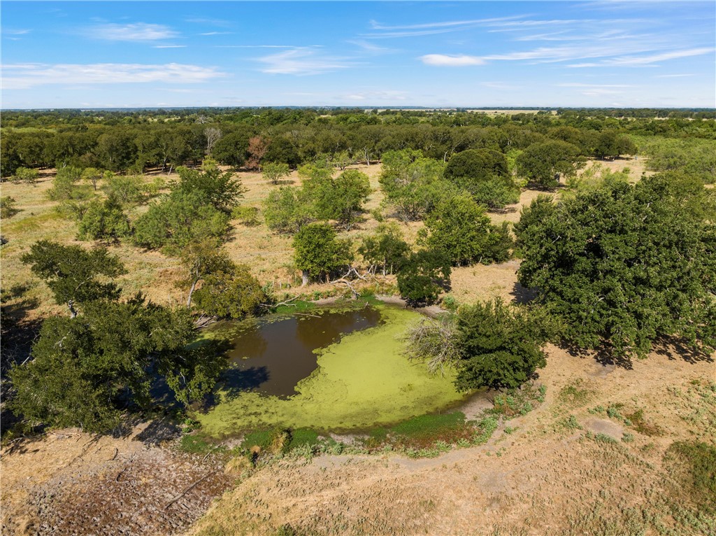 TBD Cr 217, Reagan, Texas image 3