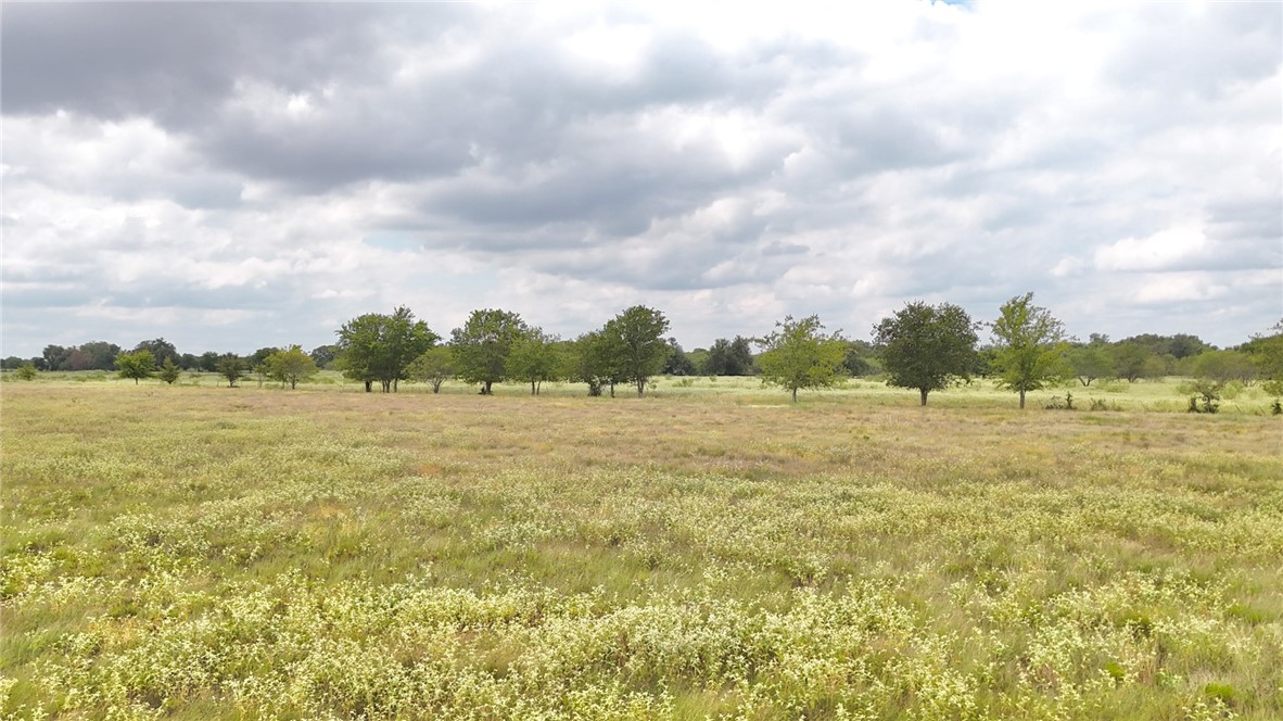 TBD Cr 217, Reagan, Texas image 6