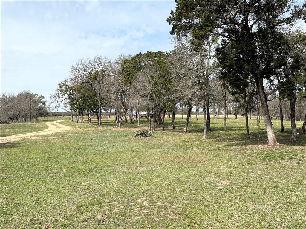 17452 Deer Ridge Road, Moody, Texas image 29