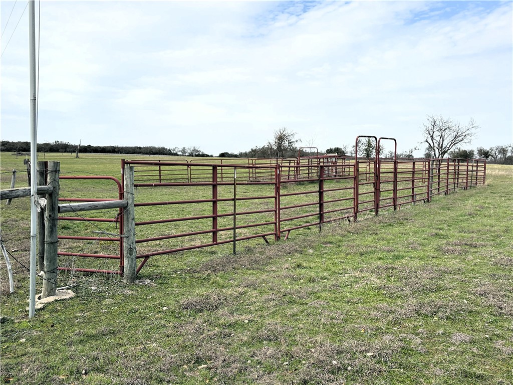 17452 Deer Ridge Road, Moody, Texas image 30