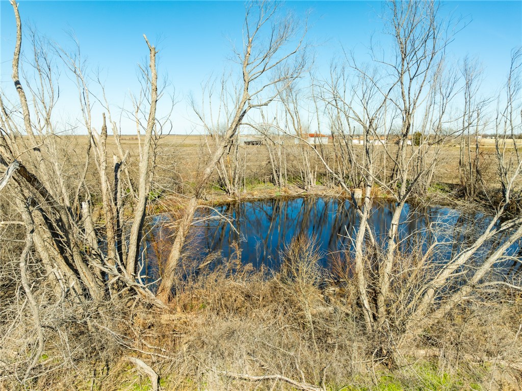 1917 Fm 308, Penelope, Texas image 26