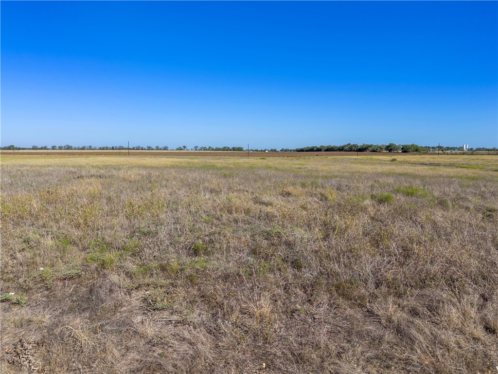 445 Willow Moon Ranch Road, Crawford, Texas image 10