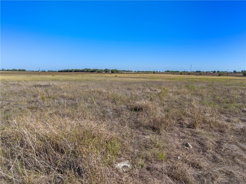 445 Willow Moon Ranch Road, Crawford, Texas image 11