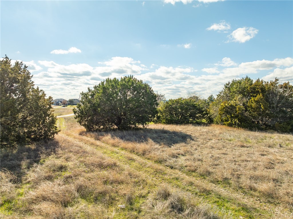 10079 Lakeview Court, Whitney, Texas image 17