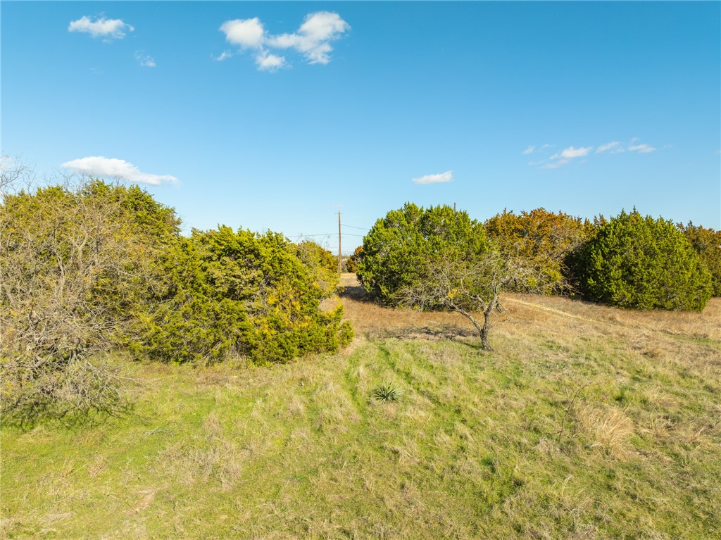 10079 Lakeview Court, Whitney, Texas image 12