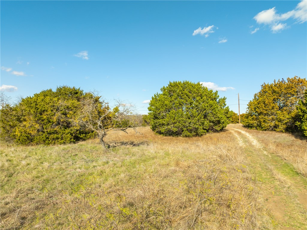 10079 Lakeview Court, Whitney, Texas image 14