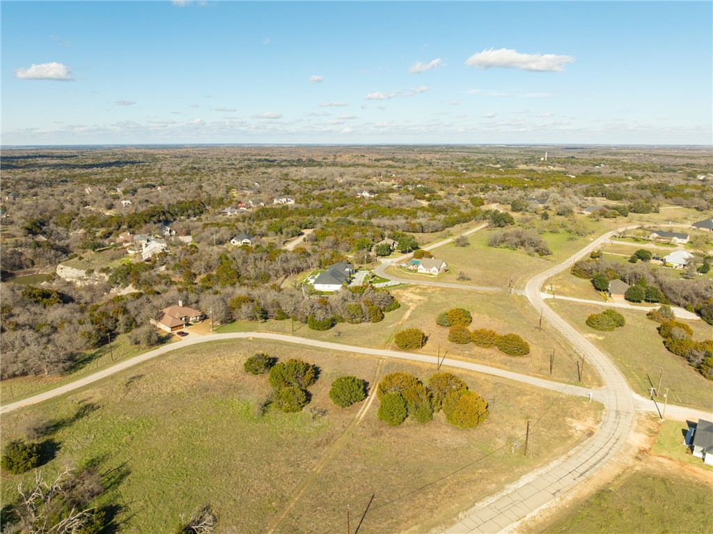 10079 Lakeview Court, Whitney, Texas image 5