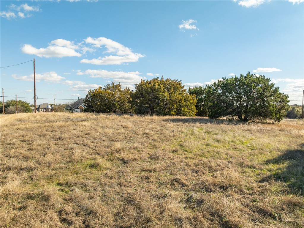 10079 Lakeview Court, Whitney, Texas image 18