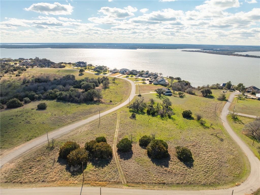 10079 Lakeview Court, Whitney, Texas image 1