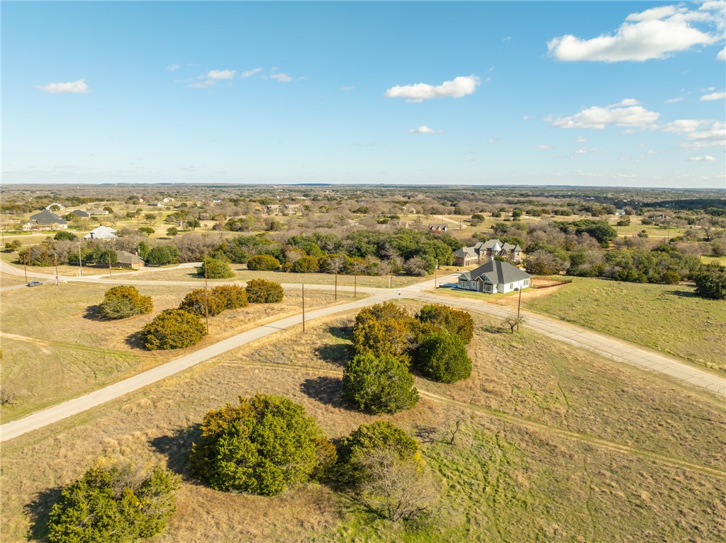 10079 Lakeview Court, Whitney, Texas image 8