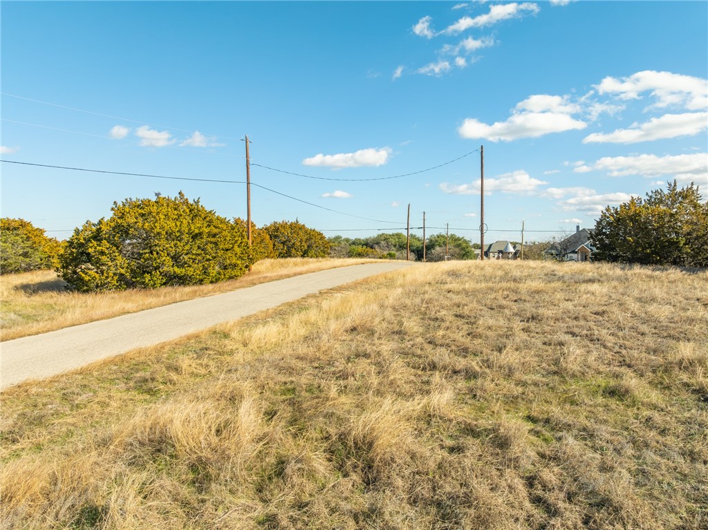 10079 Lakeview Court, Whitney, Texas image 10