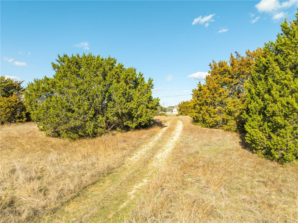 10079 Lakeview Court, Whitney, Texas image 15