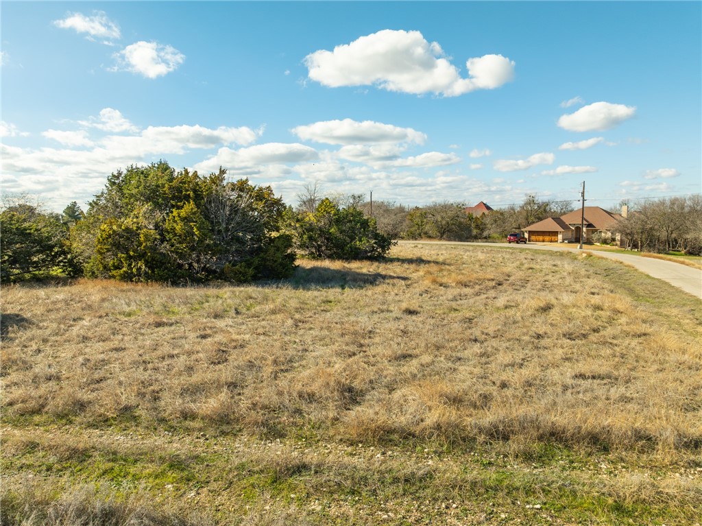 10079 Lakeview Court, Whitney, Texas image 16