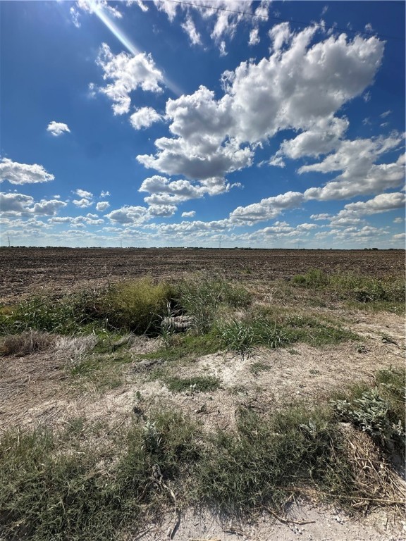 TBD Hcr 3208 Road, Penelope, Texas image 2