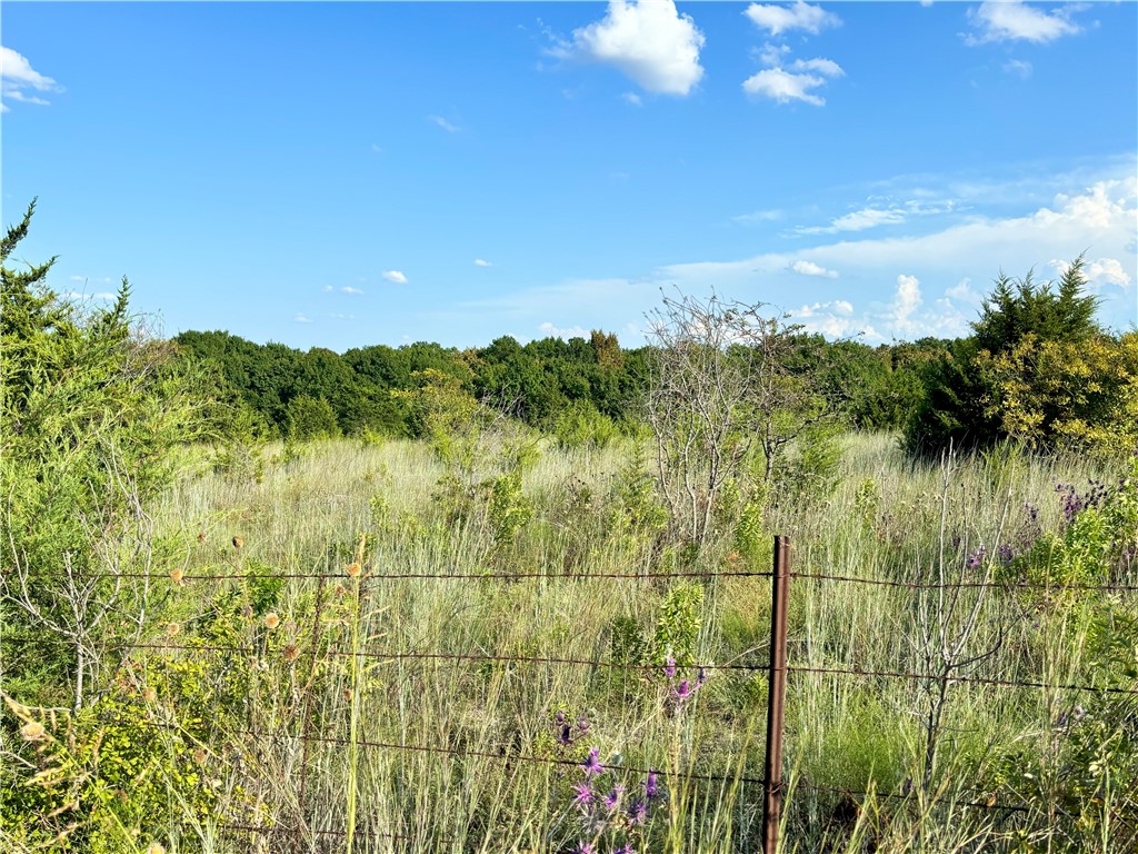 145 Pr 485, Hillsboro, Texas image 20