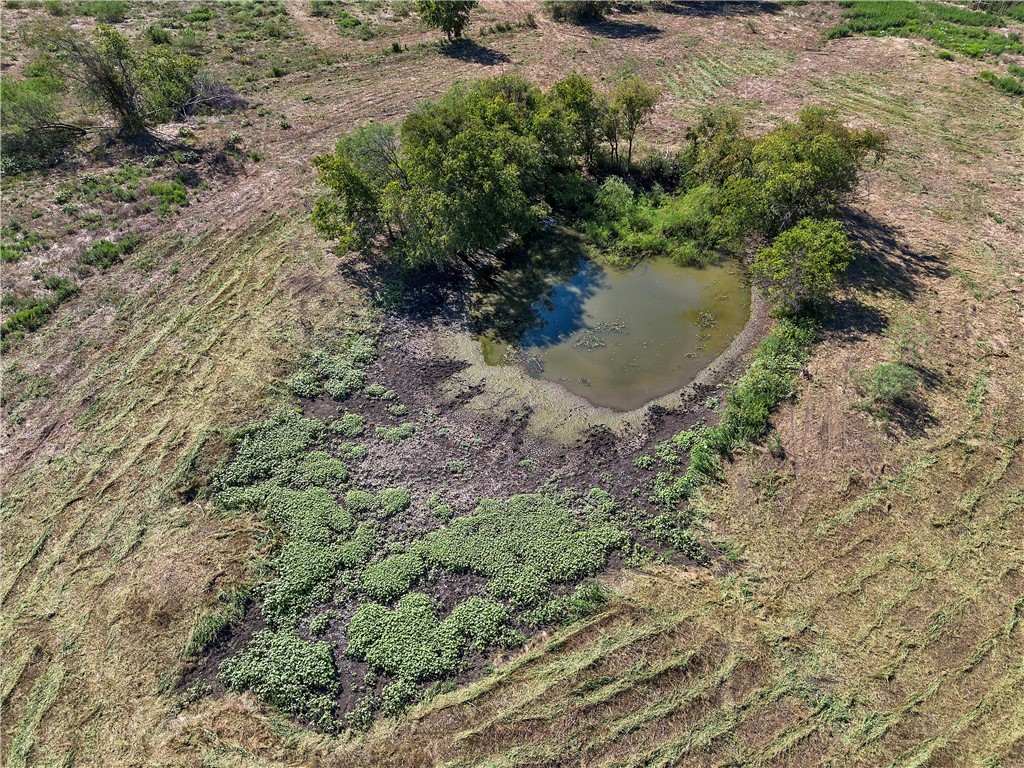 1025 Hcr 2421, Hillsboro, Texas image 30