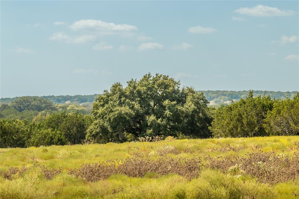 2455 County Road 2699, Lometa, Texas image 7