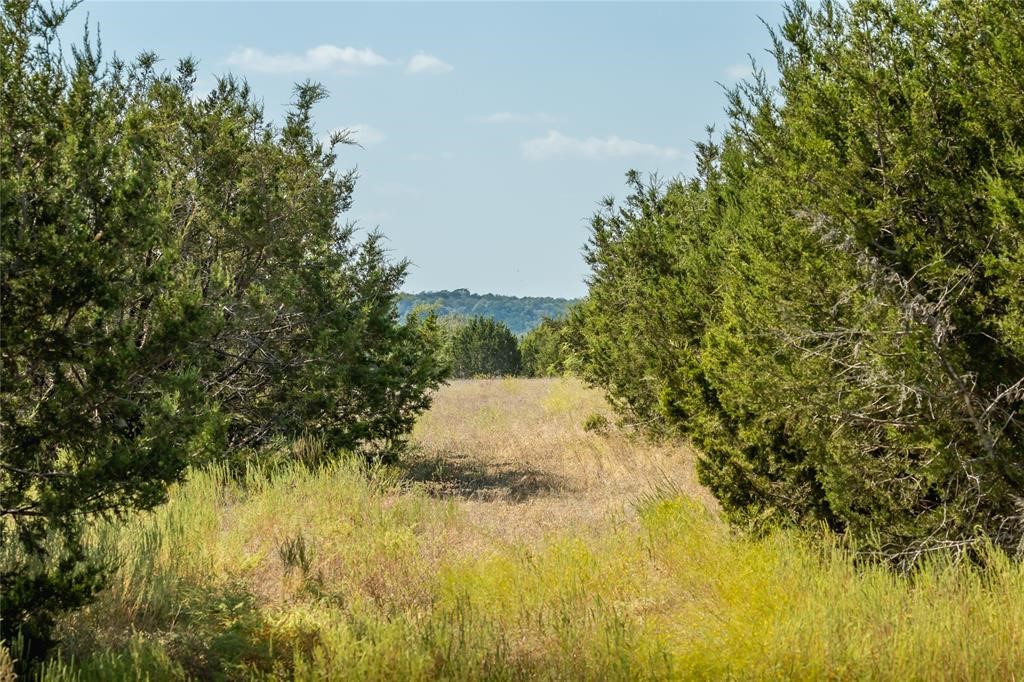 2455 County Road 2699, Lometa, Texas image 8