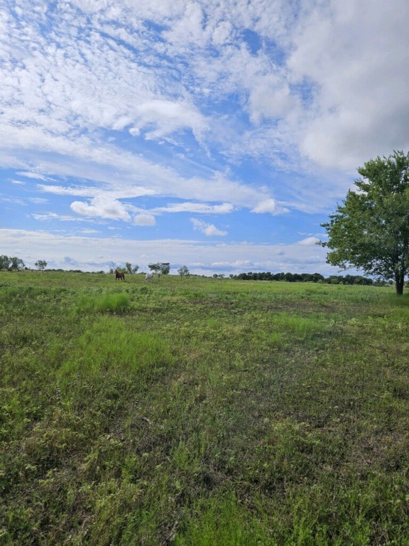 1171 4 Mile Road, Riesel, Texas image 6