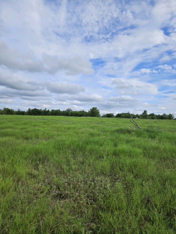 1171 4 Mile Road, Riesel, Texas image 4