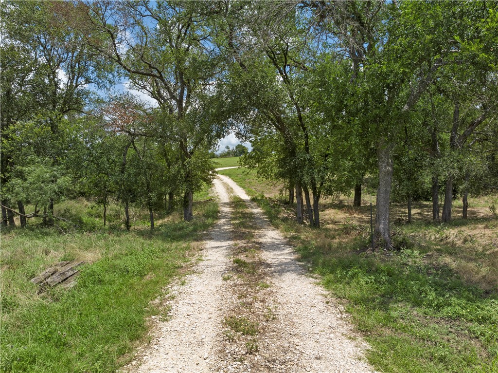 404 Cr 459 Road, Lott, Texas image 47