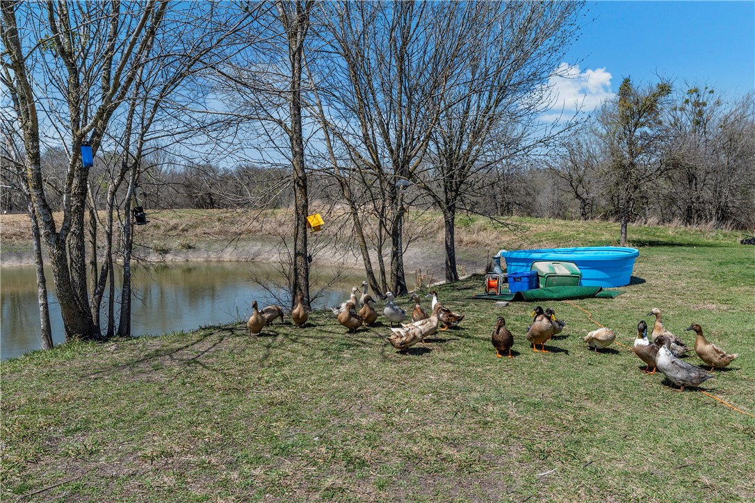 2228 Fm 437, Burlington, Texas image 10