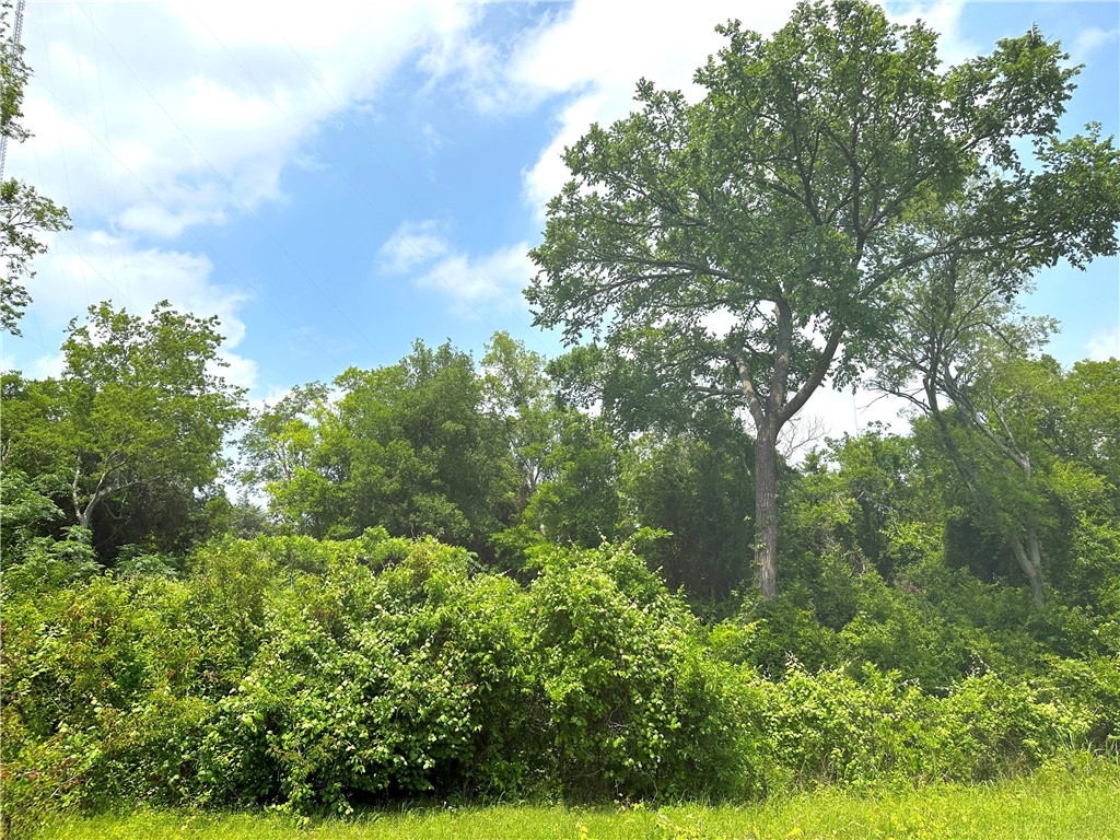 00 TRACT 18 Winchester Drive, Moody, Texas image 9