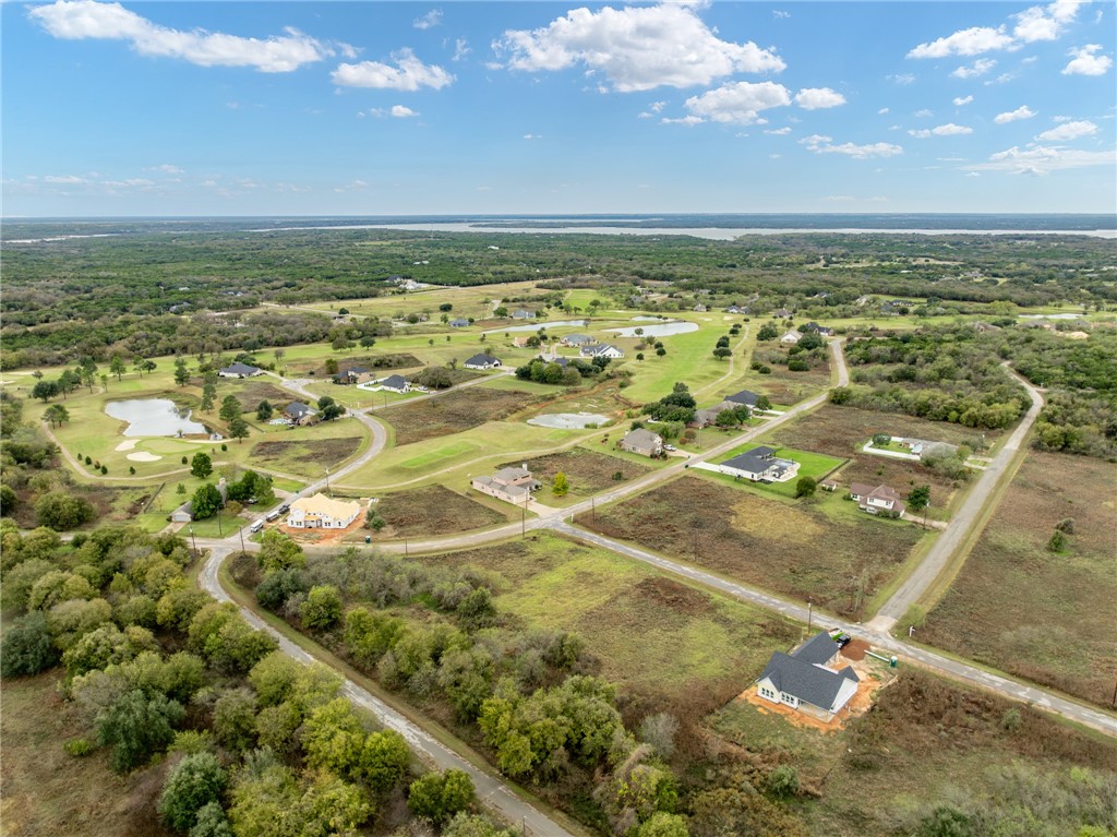 22193 Shady Grove Drive, Whitney, Texas image 3