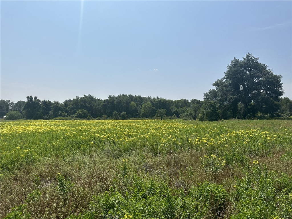 Hwy 14 N Hwy 14, Mexia, Texas image 1