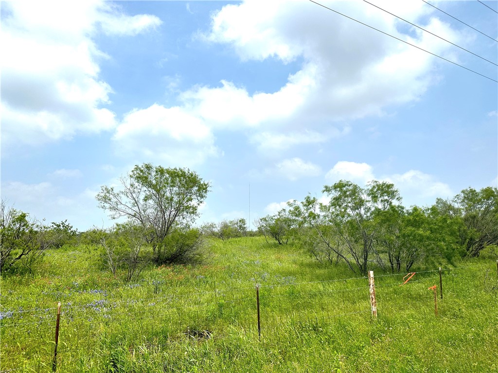 Tract 11 Tower Drive, Moody, Texas image 22