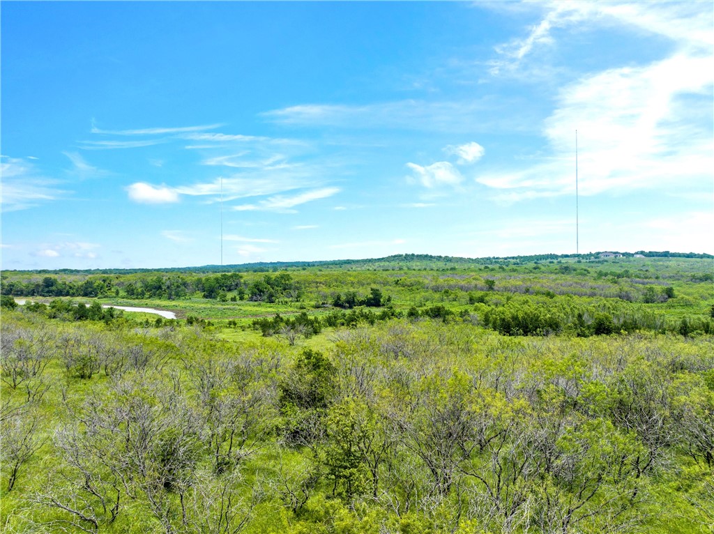 Tract 11 Tower Drive, Moody, Texas image 12