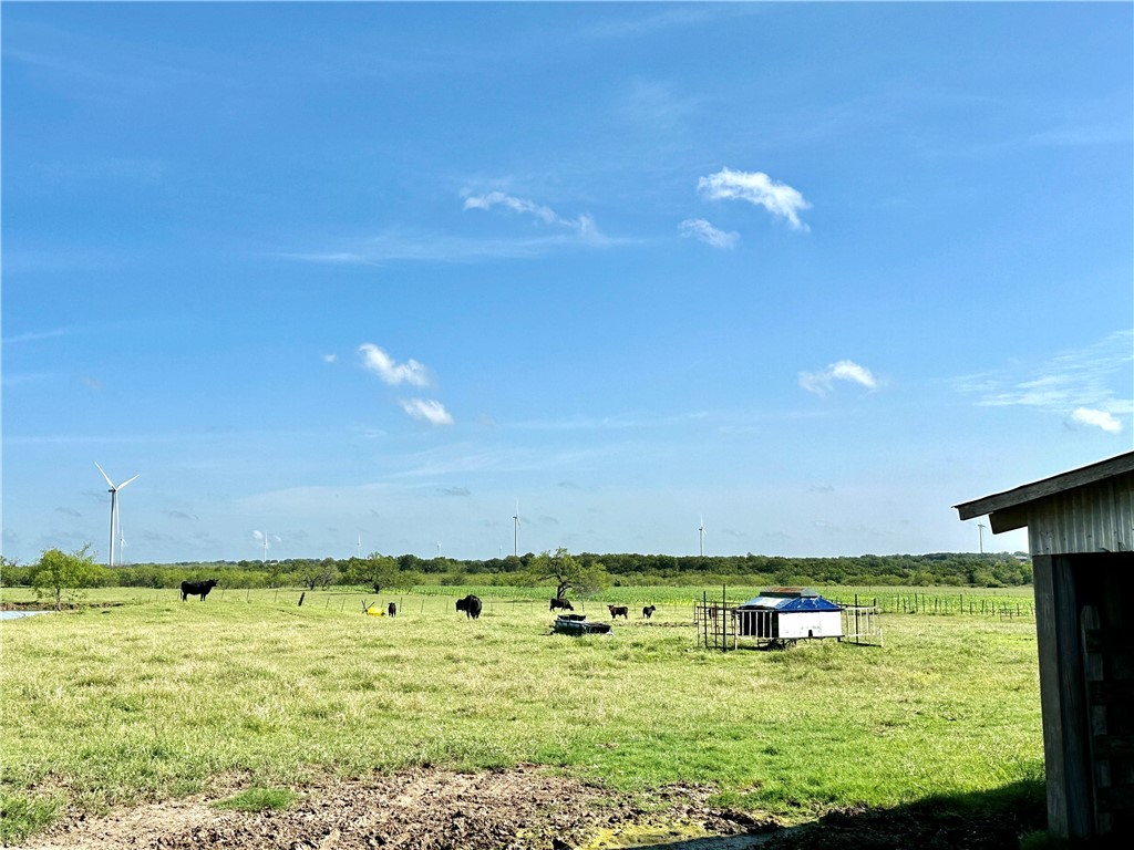 44+/- Ac. Fm 339 Road, Mount Calm, Texas image 14