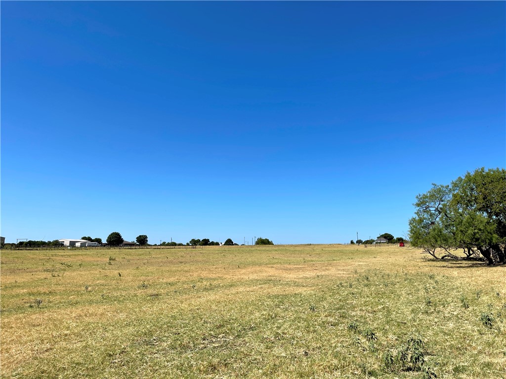 44+/- Ac. Fm 339 Road, Mount Calm, Texas image 21