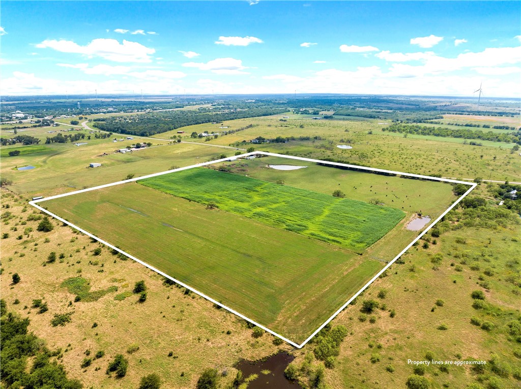 44+/- Ac. Fm 339 Road, Mount Calm, Texas image 39