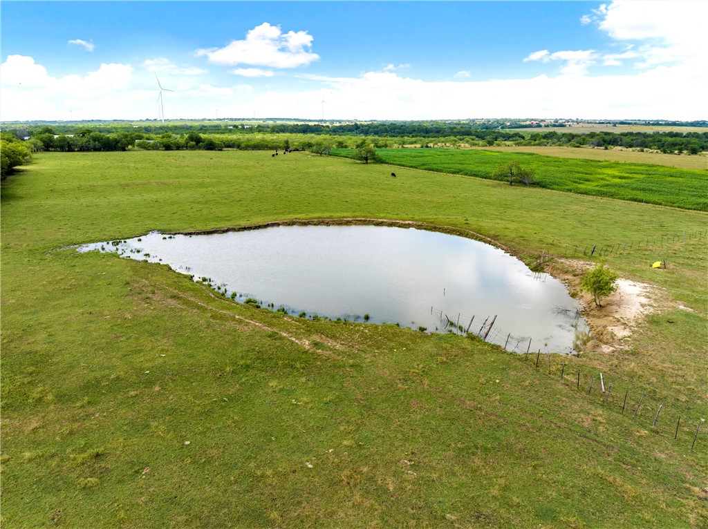 44+/- Ac. Fm 339 Road, Mount Calm, Texas image 9